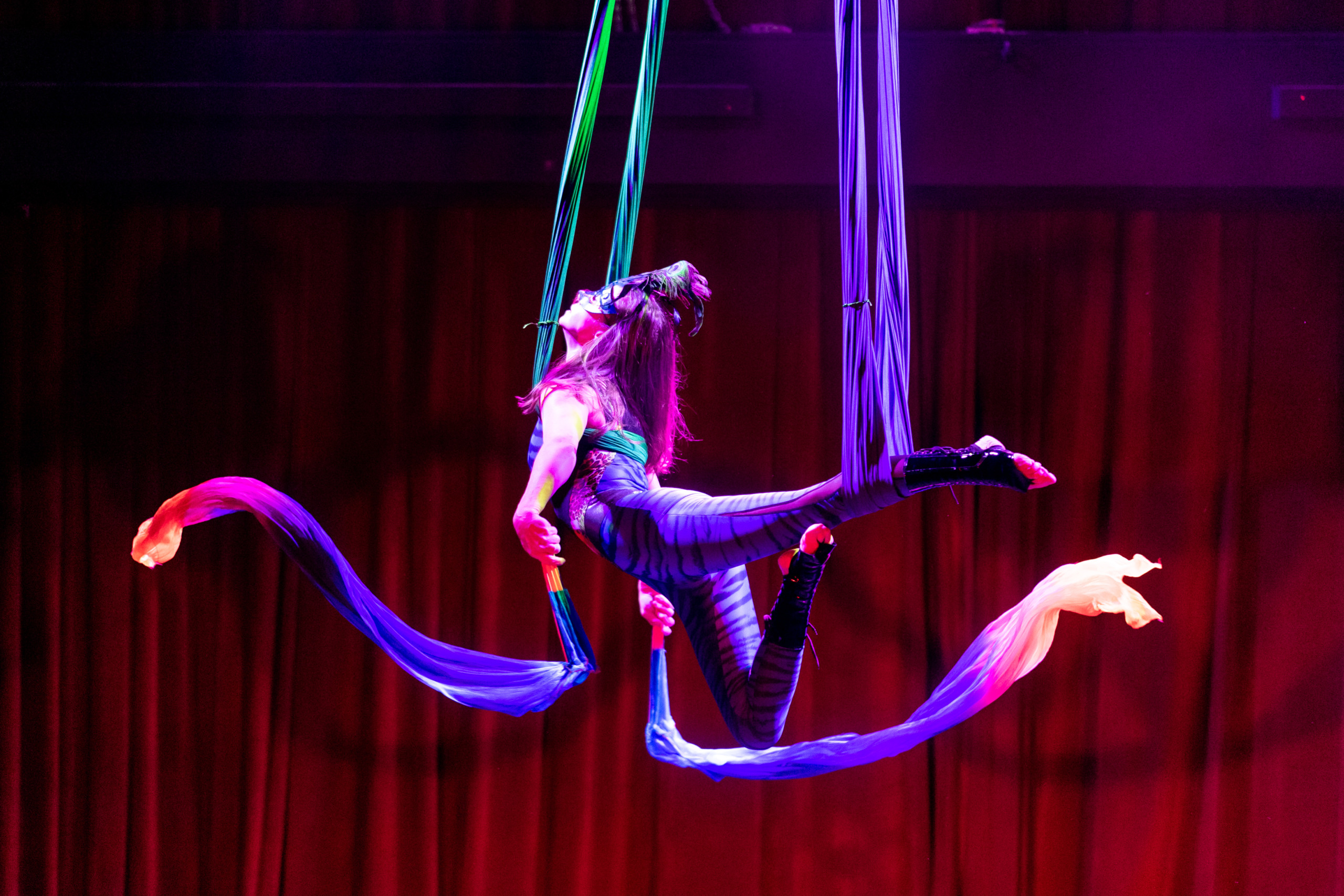 Aerial Arts in Seattle